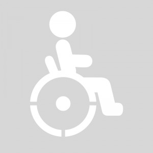 Plantilla pintar señal accesible silla ruedas