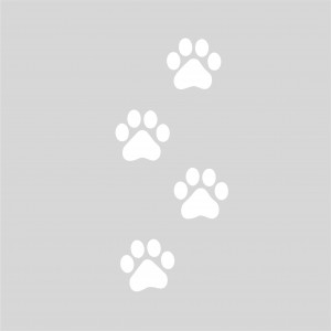 Plantilla para pintar 4 huellas pisadas oso