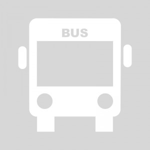 Plantilla pintar señal carril BUS