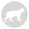 Plantilla pintar señal lince camino escolar  Ø 80