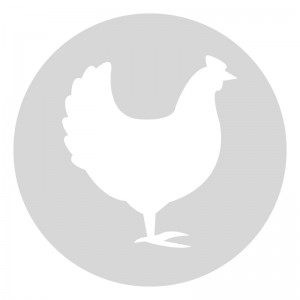 Plantilla pintar señal gallo camino escolar  Ø 60