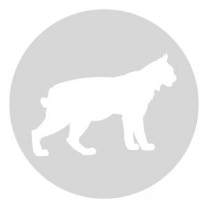 Plantilla pintar señal lince camino escolar  Ø 80