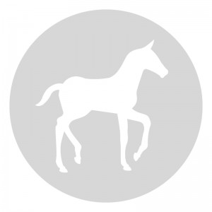 Plantilla pintar señal caballo camino escolar  Ø 60