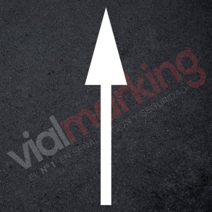 Flecha normativa marca vial