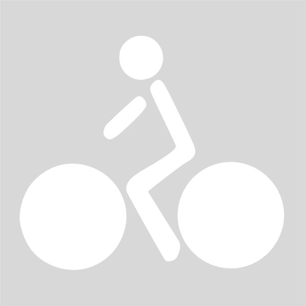 Marca Vial carril bici