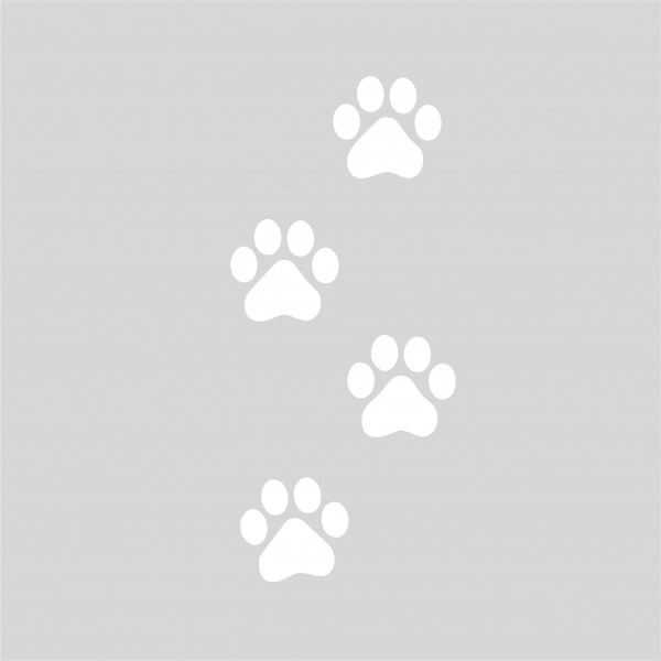 Plantilla para pintar 4 huellas pisadas oso