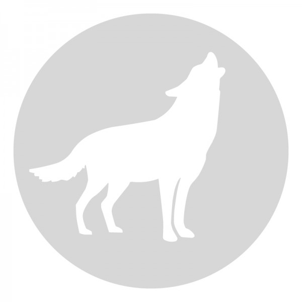Plantilla pintar señal lobo camino escolar  Ø 60