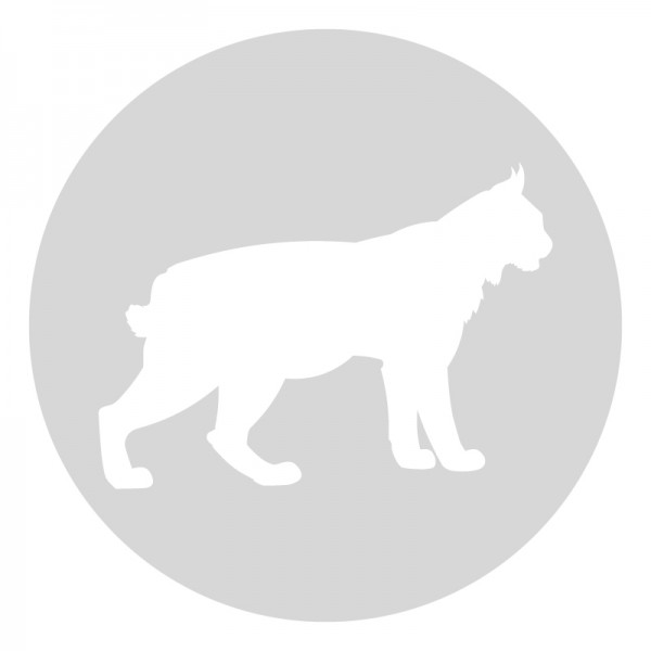 Plantilla pintar señal lince camino escolar  Ø 80
